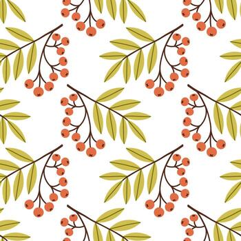 sencillo otoño baya sin costura modelo. otoño aislado bayas en blanco antecedentes. cuadrado repetir modelo plano diseño para otoño estación. vector