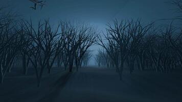 Dark Haunted Forest, Halloween Spooky seamless Loop Background video