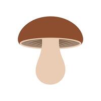 Simple Flat Illustration of Brown Mushroom Isolated on White Background, Edible Fungi Icon, Minimalist Food Design for Healthy Cooking Concepts. vector