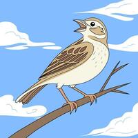 Singing bird on a branch vector