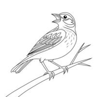 Lark Bird Full Body Side Profile Detailed Vintage Black and White Outline Line Art Drawing Isolated Object vector