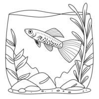 Molly Fish in Aquarium Line Art vector