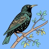 colorful bird on a branch vector