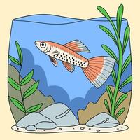 Fish swimming in an aquarium with plants vector