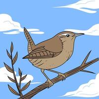 Bird on branch with blue sky vector