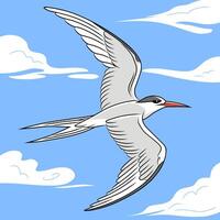 Stylized illustration image of seabird in flight style vector