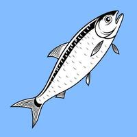 Herring Fish Illustration on Blue Background vector