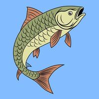 Illustration of a mahseer fish with detailed scales and fins. Focus on realistic rendering and bright colors. vector