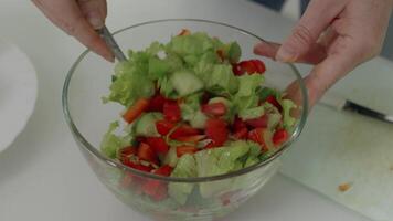Chef preparing colorful vegetable salad with fresh lettuce, tomato, cucumber, and bell peppers, mixing ingredients in transparent glass bowl against pristine white background video