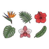 Tropical flowers and leaves isolated on white background vector