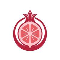 Punica granatum fruit illustration vector