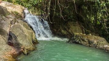 Tropical waterfall with mini lake loop video