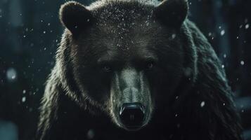 Grizzly bear in snowy forest photo