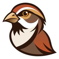Close View of Sparrow Head vector