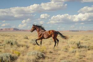 A brown horse galloping across a desert landscape under a partly cloudy sky photo