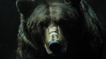 A close up of a brown bear in the dark photo