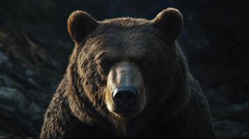 A close up of a brown bear looking at the camera photo