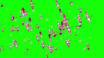 Birds Flying Green background Animation video