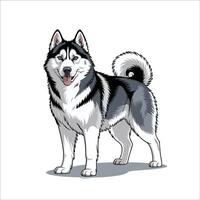 illustration of Siberian Husky standing vector