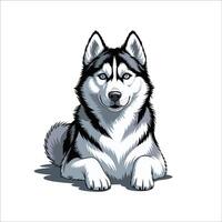 Siberian Husky sit in the floor vector