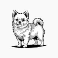 white chihuahua dog illustration standing upright vector
