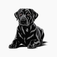 illustration of sitting black labrador retriever dog pose vector