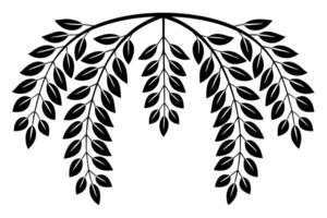 Black leaves on curved branches botanical nature vector