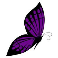 Colorful of summer Purple butterflies graphic. Trendy modern illustration isolated on transparent background, vector