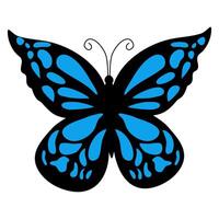 Colorful of summer blue butterflies nature. Trendy modern illustration isolated on transparent background, vector