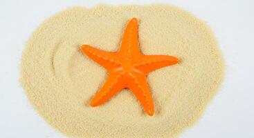 A starfish is sitting in the sand photo