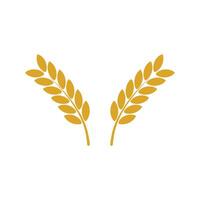 Wheat ears icon vector