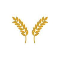 Two wheat ears icon on a white background vector
