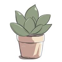 Houseplant in sketch style and marker lines. Succulent in pot. Hand drawn plant in pastel tones. vector