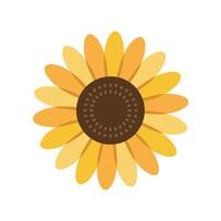 Sunflower flower icon illustration vector