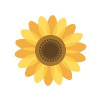 Sunflower flower icon vector