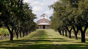 Idyllic Vineyard Lane Leading to Charming Countryside Building photo