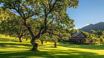 Serene Countryside Cottage Nestled Amidst Lush Greenery and Majestic Trees. photo
