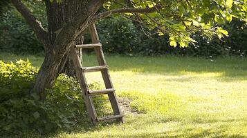Old Wooden Ladder Leaning Against a Tree in Sunny Meadow. photo