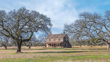 Old weathered wooden farmhouse framed by ancient mossy trees under a blue sky. photo