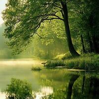 Serene Morning Mist Shimmers Over a Peaceful Lakeside Forest Scene. photo