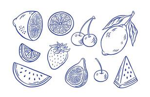Hand draw farmer fruit illustration. Doodle watermelon, strawberry, fig, lemon, citrus icons. Vegan healthy food vector