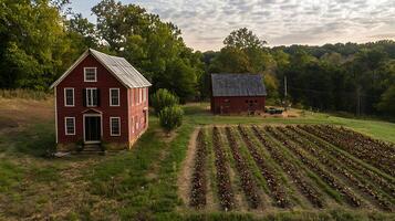 Historic Farm Buildings Surrounded by Lush Greenery and Crops. photo