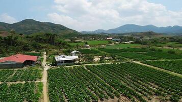 Lush Green Farm Fields Stretch Towards Majestic Distant Mountains. photo