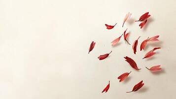 Crimson Petals Dancing on a Textured Creamy Canvas. photo