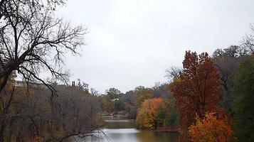 Serene Autumn River Scene with Bare and Colorful Trees. photo