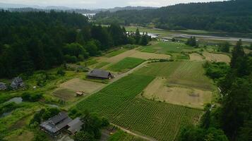 Lush Green Farmland Surrounded by Dense Forest and Calm Waterways. photo