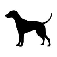 dalmatian silhouette illustration vector