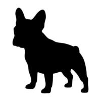 French bulldog silhouette illustration vector