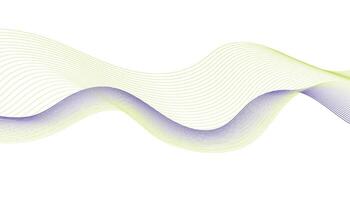 Abstract Purple and Green Wave Lines vector