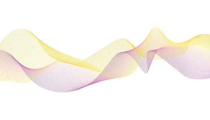 Yellow and Pink Abstract Wave Background, Smooth Gradient Lines on White